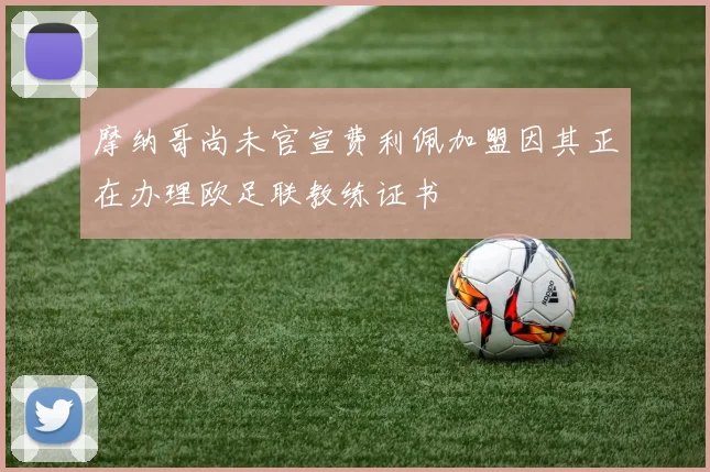 摩纳哥尚未官宣费利佩加盟因其正在办理欧足联教练证书