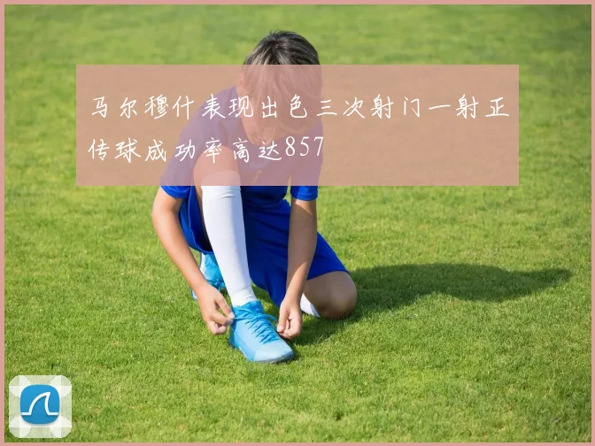 马尔穆什表现出色三次射门一射正传球成功率高达857
