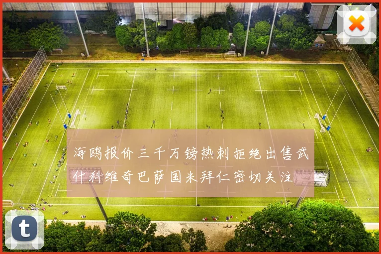 海鸥报价三千万镑热刺拒绝出售武什科维奇巴萨国米拜仁密切关注